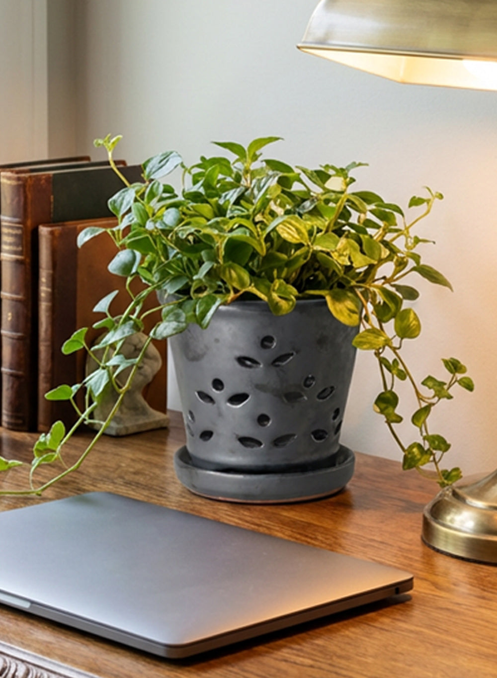 Leaf Breeze Ceramic Planter Collection