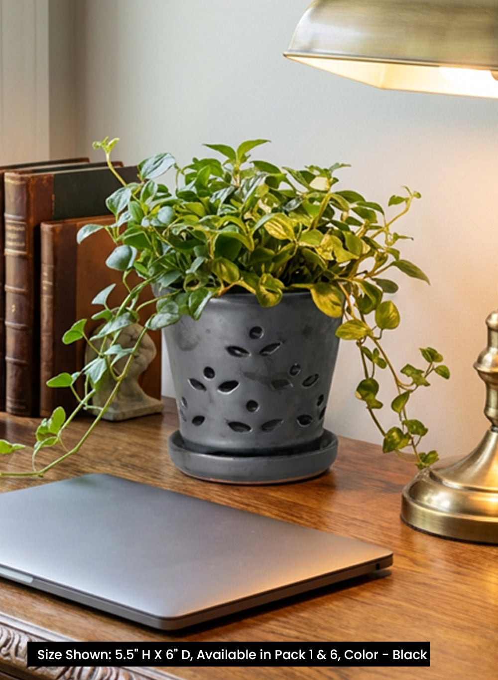 Leaf Breeze Ceramic Planter Collection