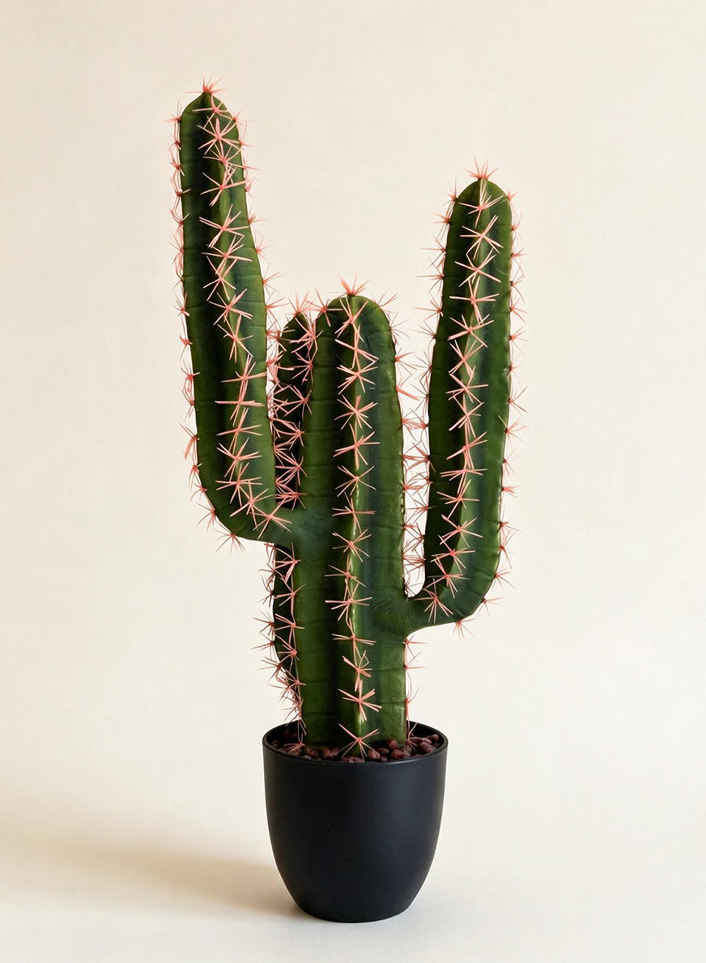 Desert Noir Faux Cactus in Black Pot, 6" Diameter & 26.5" Tall