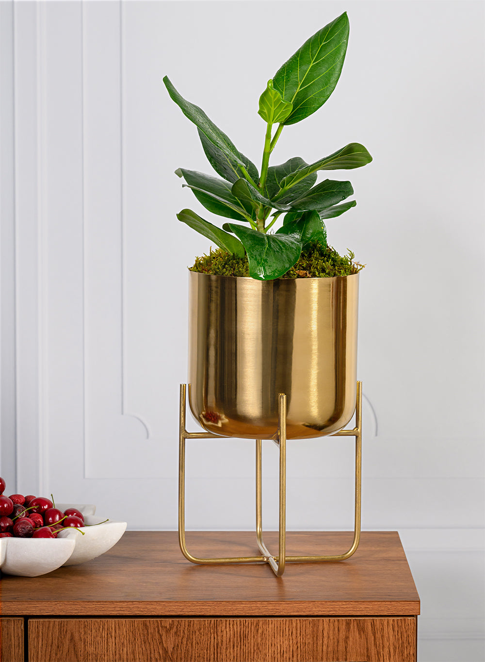 Gold Planter with Detachable Metal Stand, in 4 Sizes