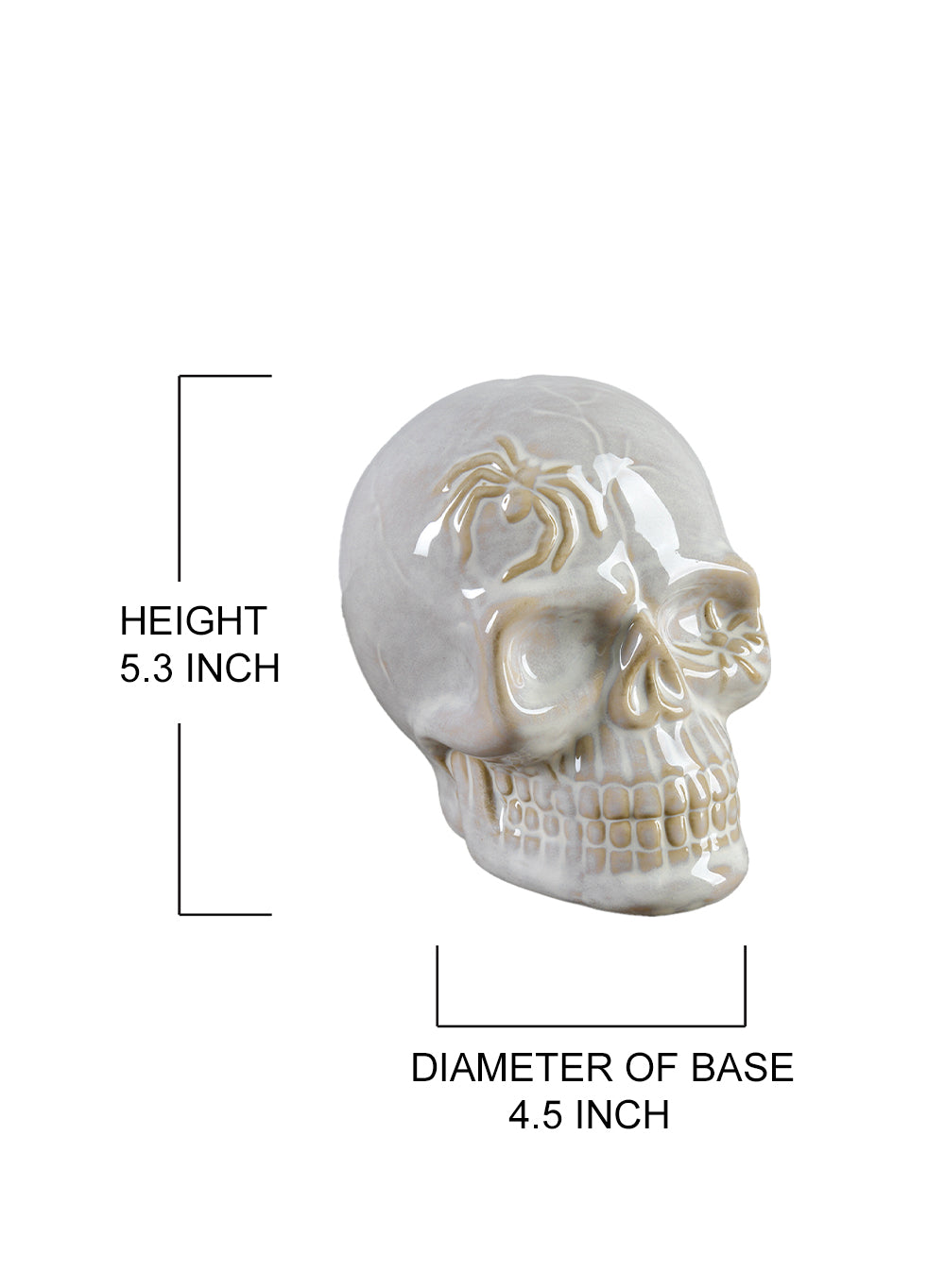 Porcelain Decorative Skull, in 2 Colors