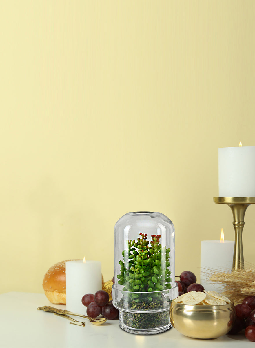 Capsule Glass Terrarium Vase Terrarium Serene Spaces Living