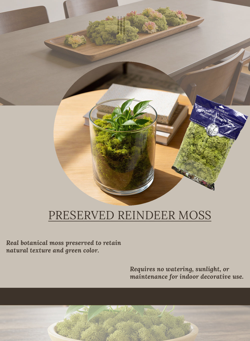 Preserved Reindeer Moss, 8 Ounce Bag