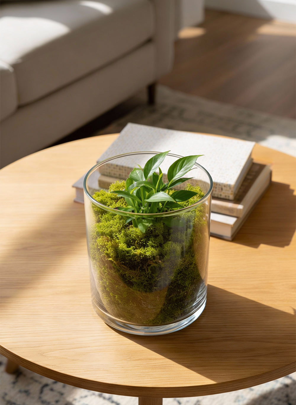 Preserved Reindeer Moss, 8 Ounce Bag