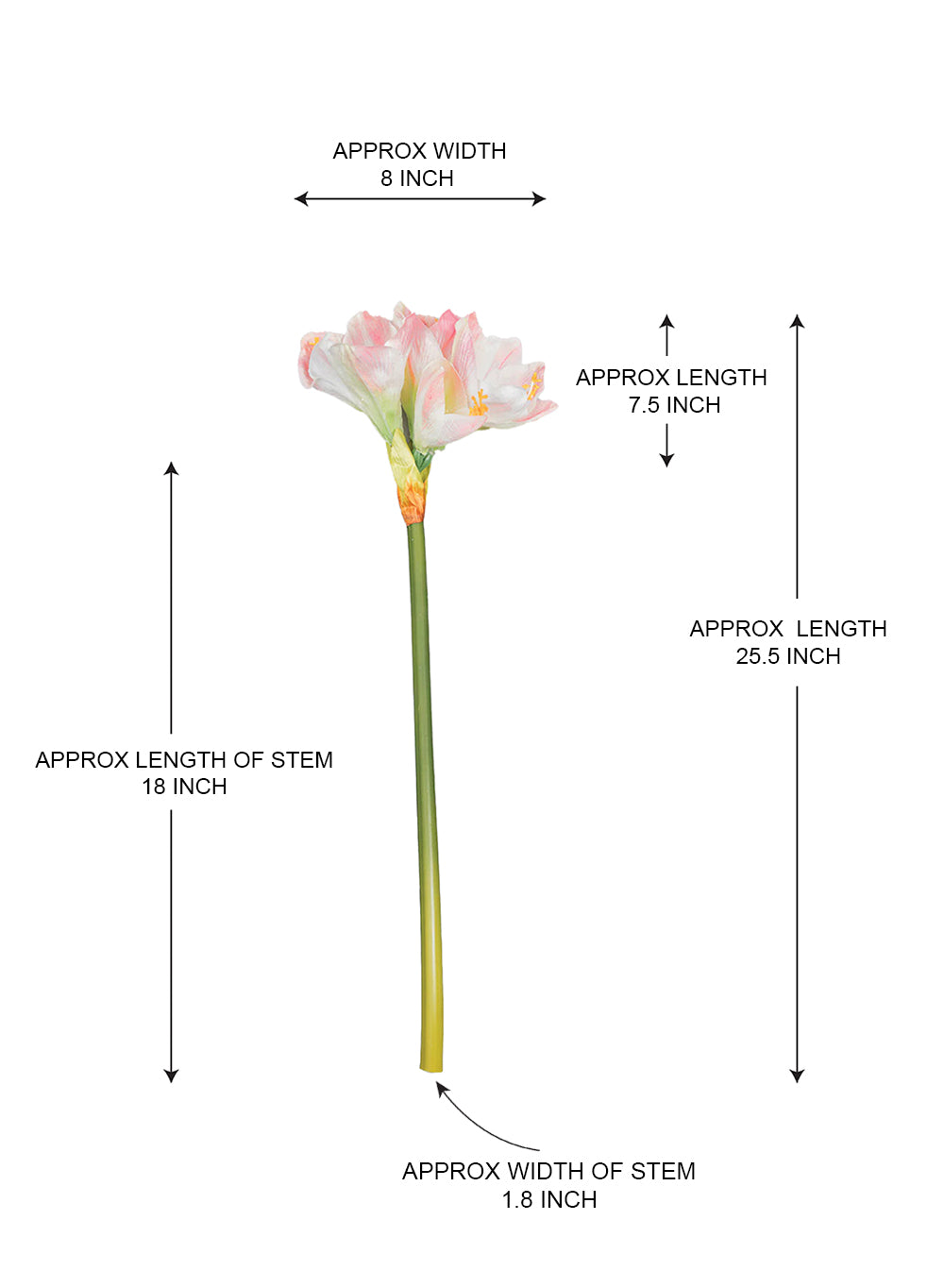 25.5" Lifelike Amaryllis Flower Stem, Pack of 12
