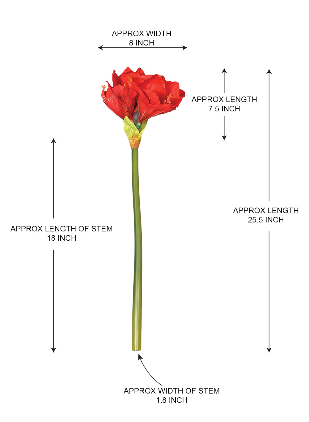 25.5" Lifelike Amaryllis Flower Stem, Pack of 12
