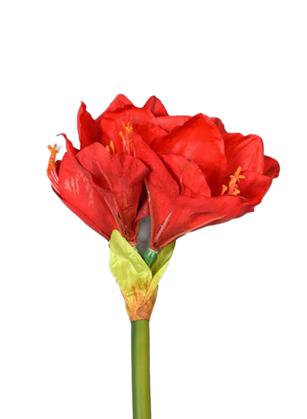 25.5" Lifelike Amaryllis Flower Stem, Pack of 12