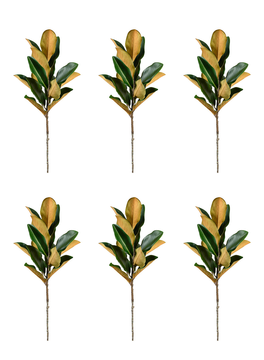 Real Touch Magnolia Stem, Pack of 6