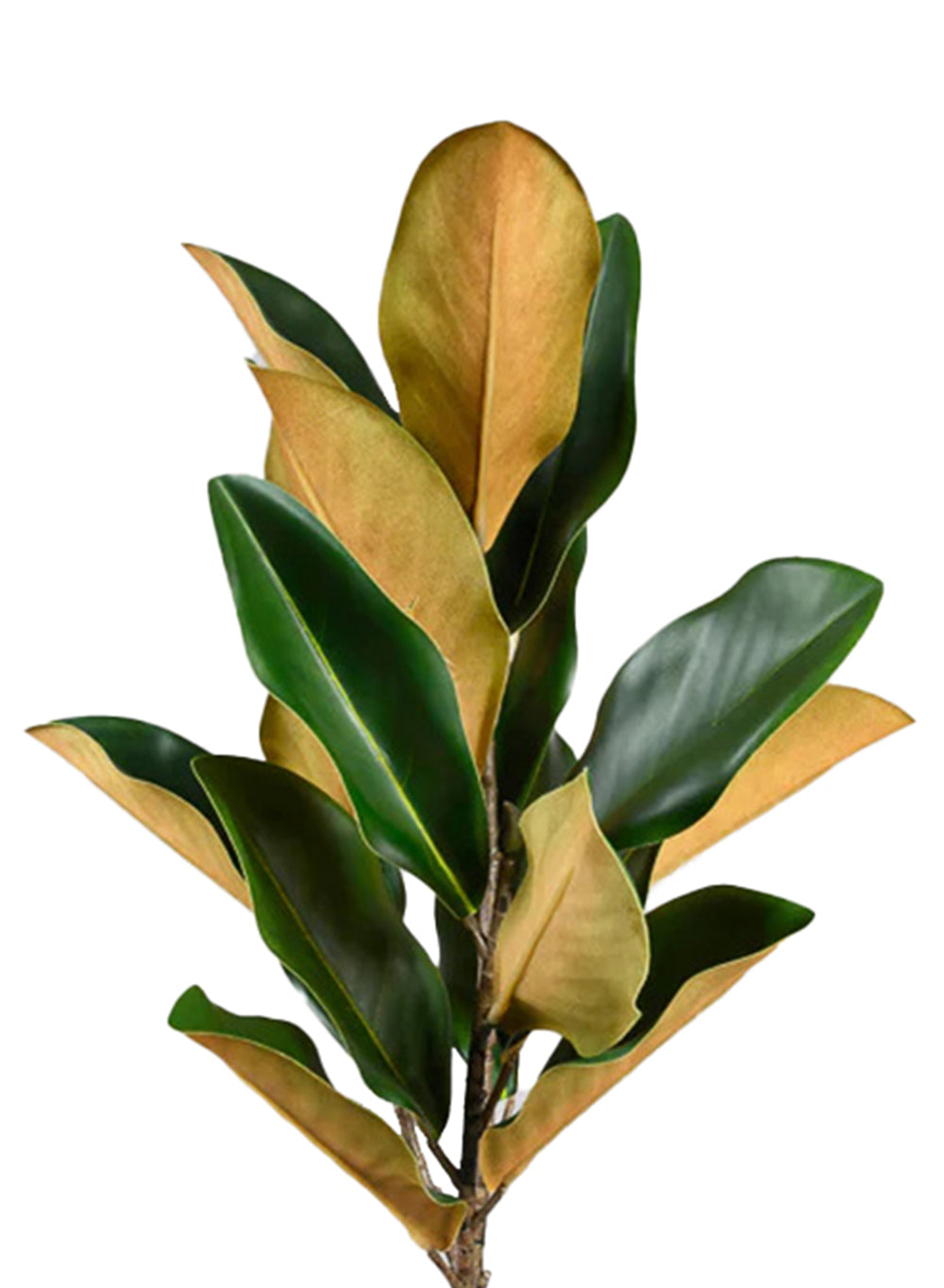 Real Touch Magnolia Stem, Pack of 6