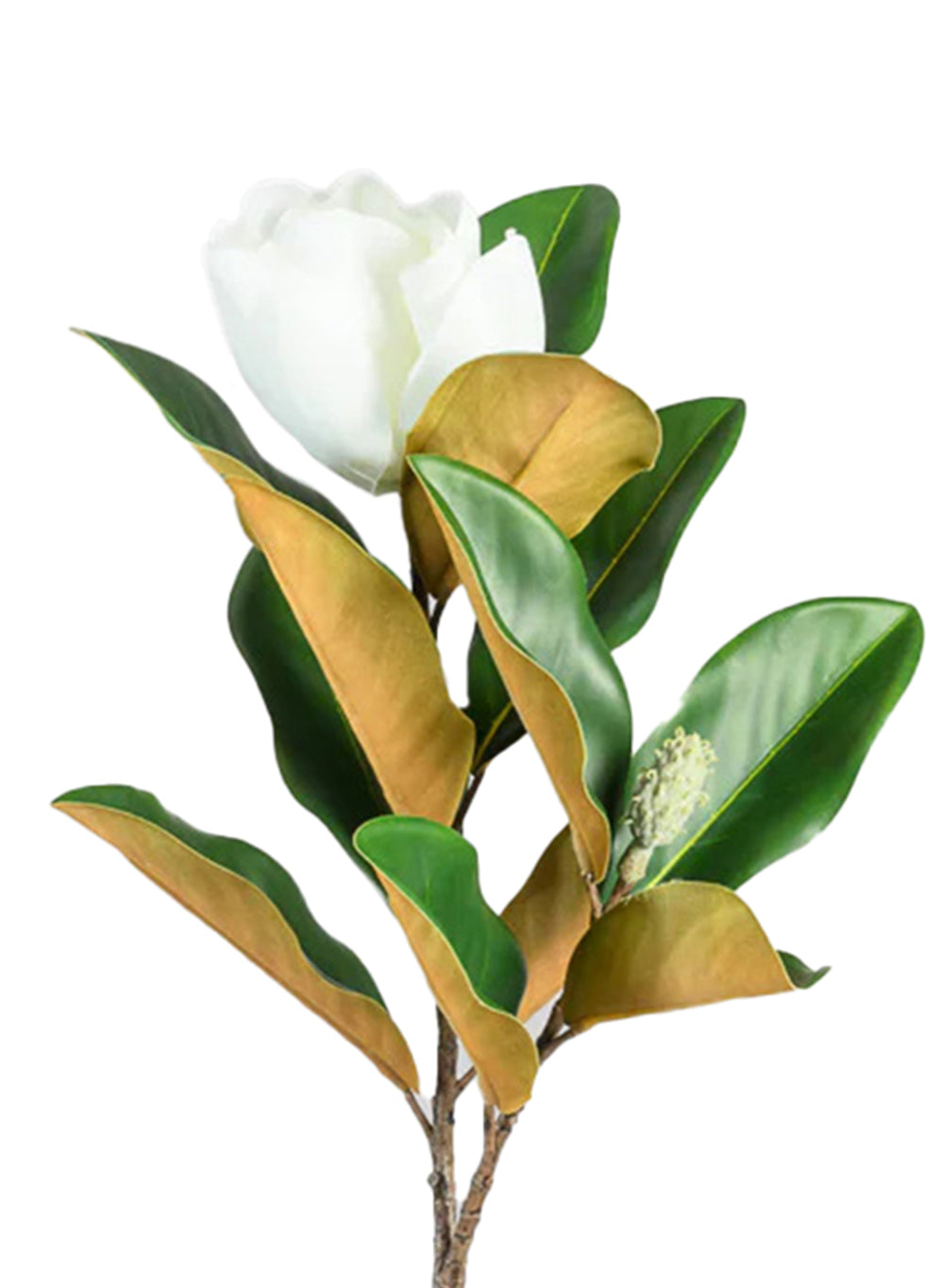 Real Touch Magnolia Stem, Pack of 6