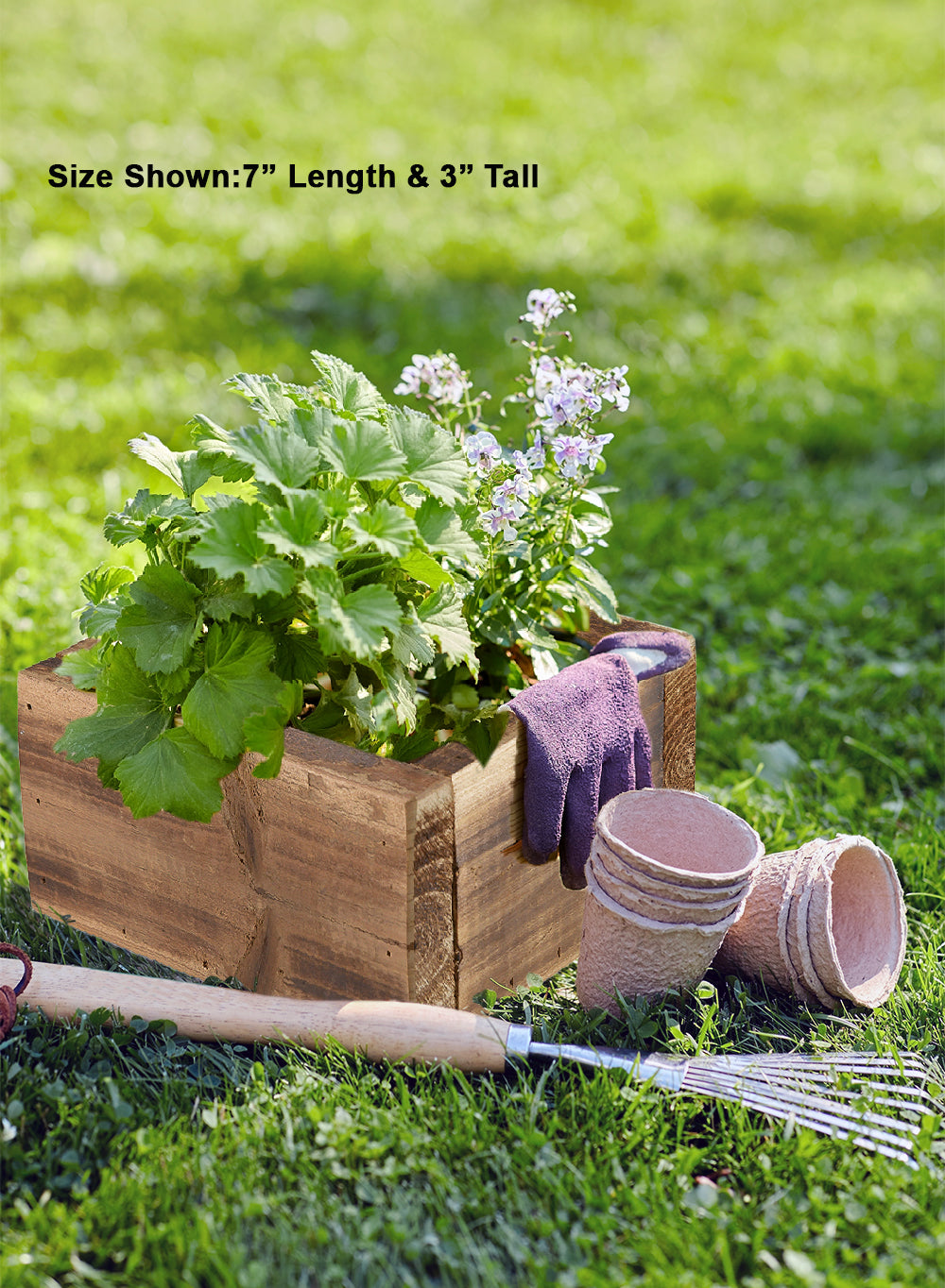 Everlyn Planter Box, Available in 4 Sizes