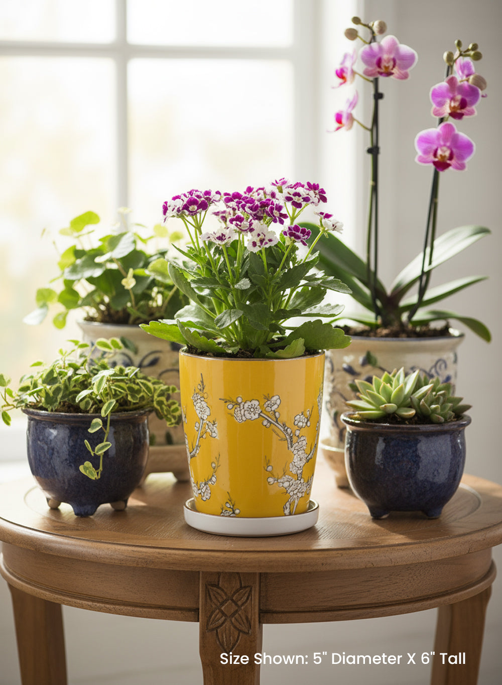 Oriental Blossom Ceramic Collection