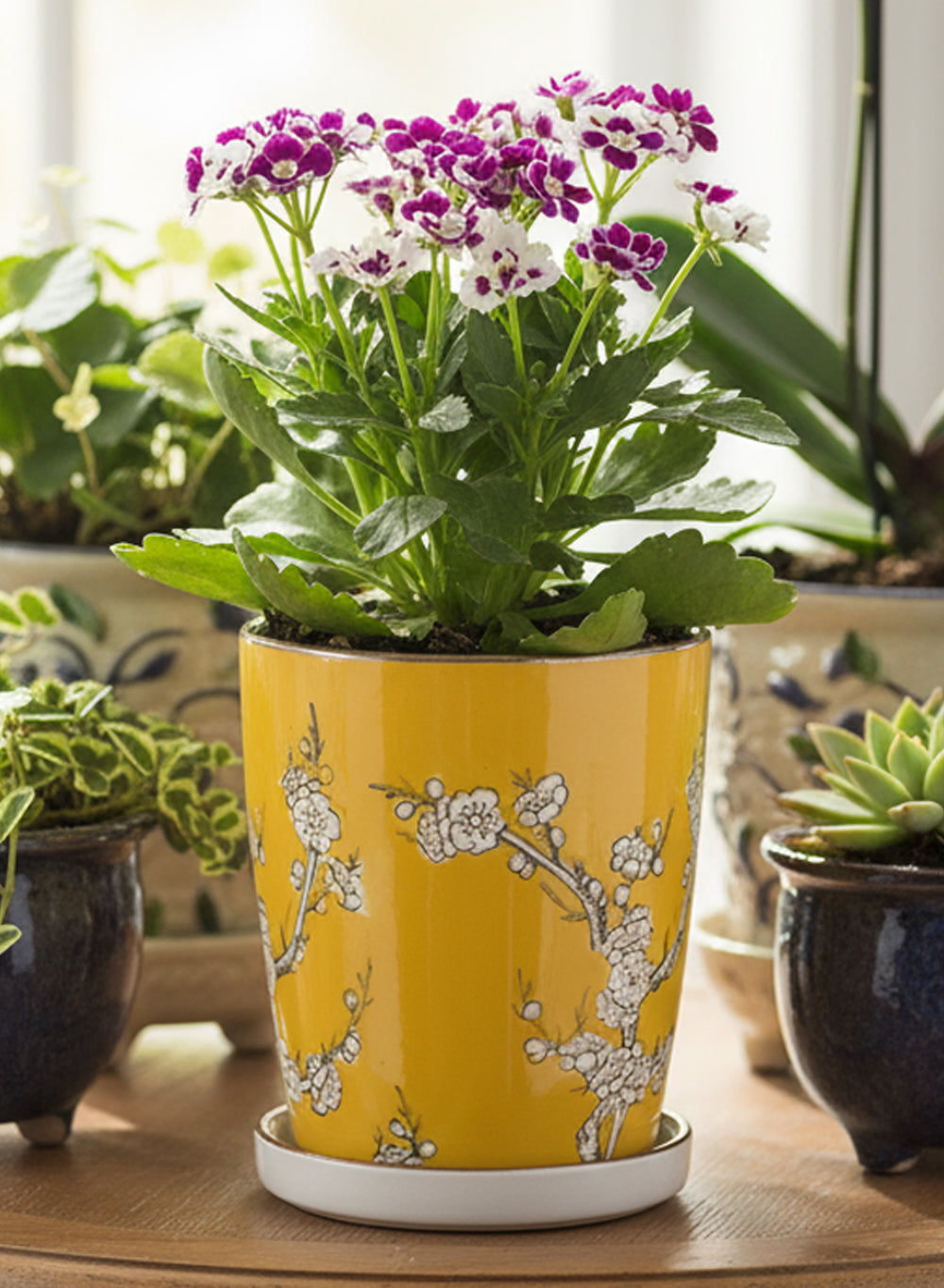 Oriental Blossom Ceramic Collection