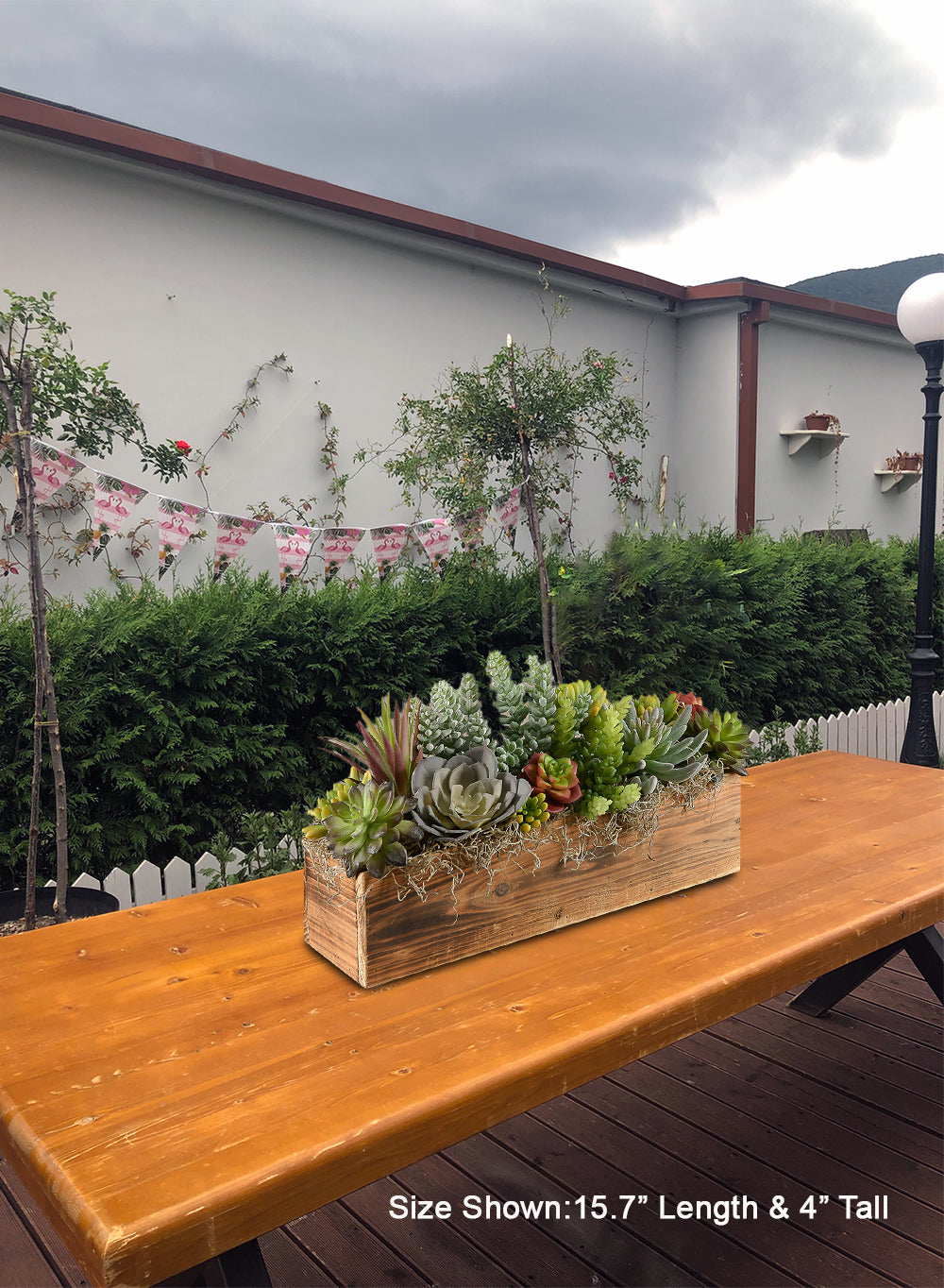 Everlyn Planter Box, Available in 4 Sizes