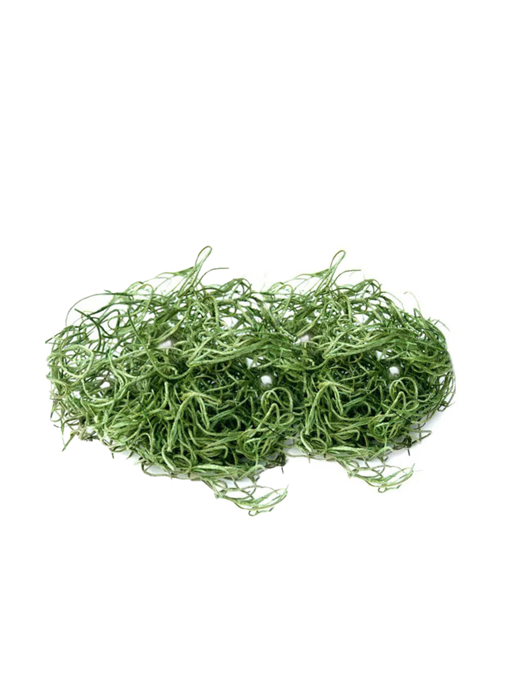 Preserved Spanish Moss, 8 Ounce Bag