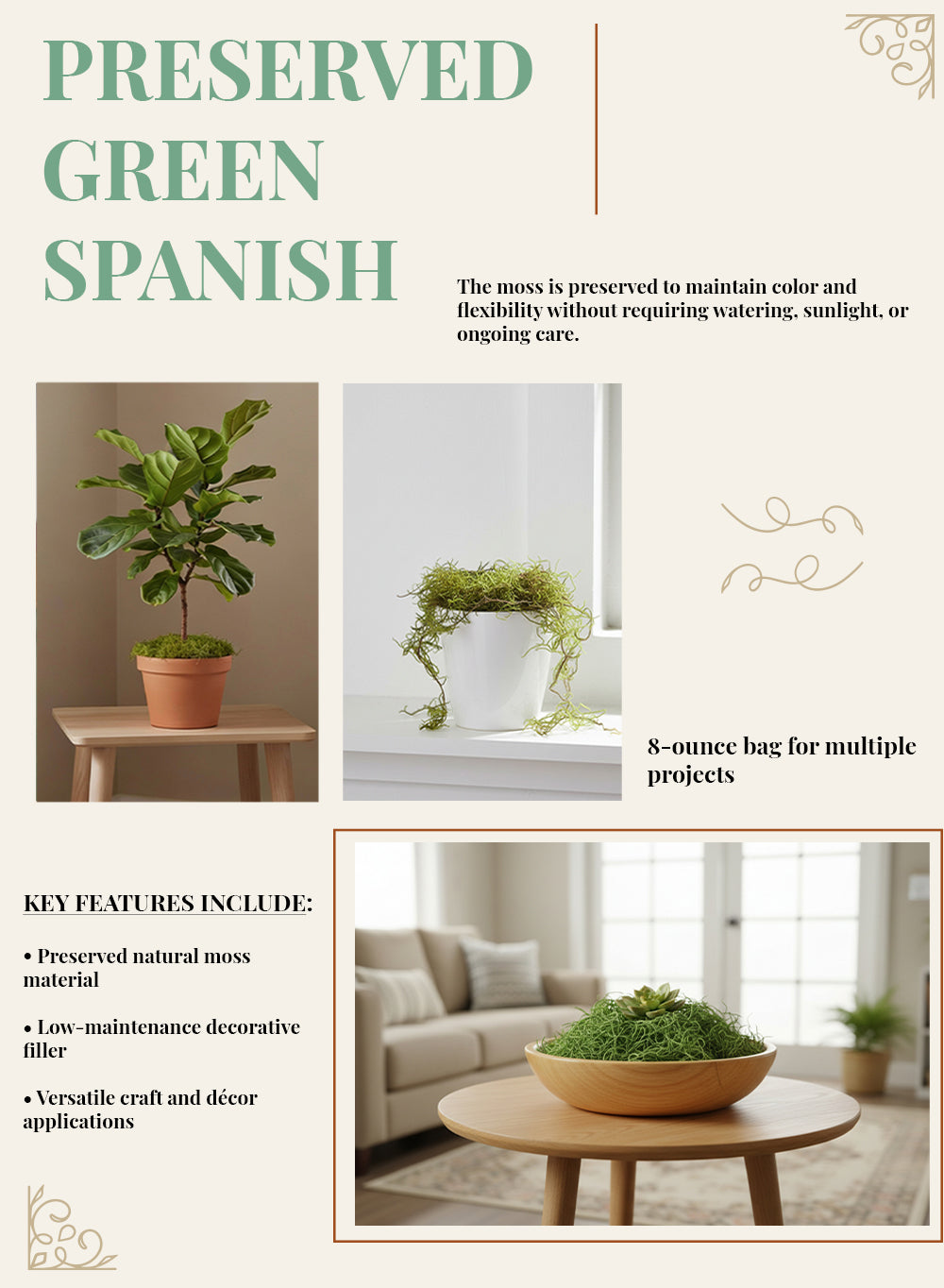 Preserved Spanish Moss, 8 Ounce Bag