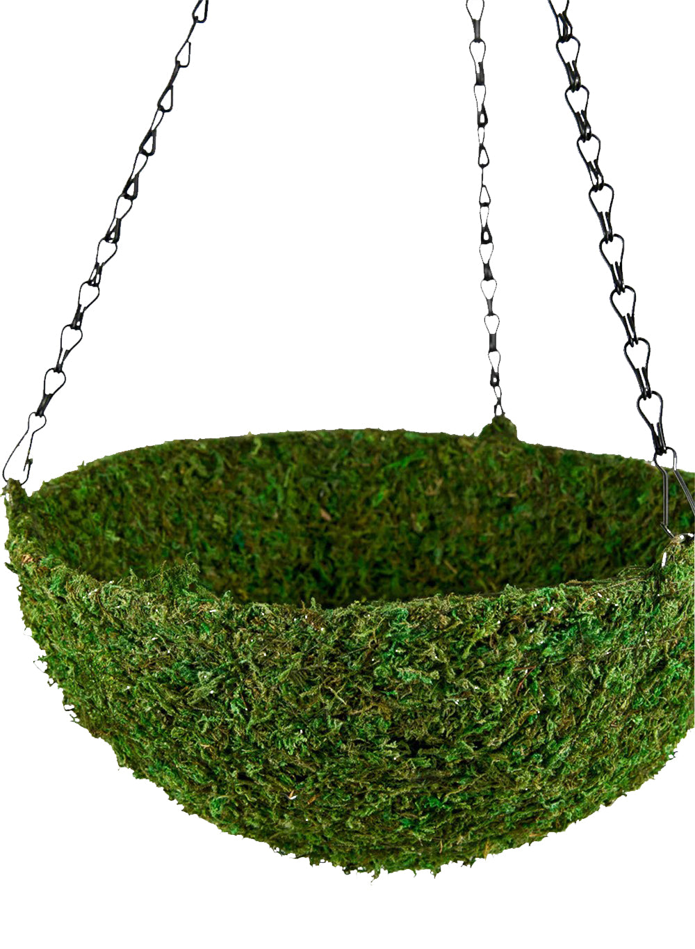 Preserved Green Moss Hanging Basket, 12.5" Diameter & 5" Tall