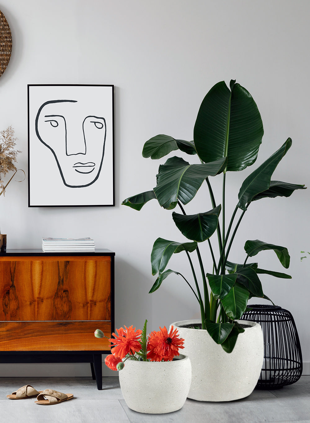 low indoor planter Sandora White Low Round Planter Collection