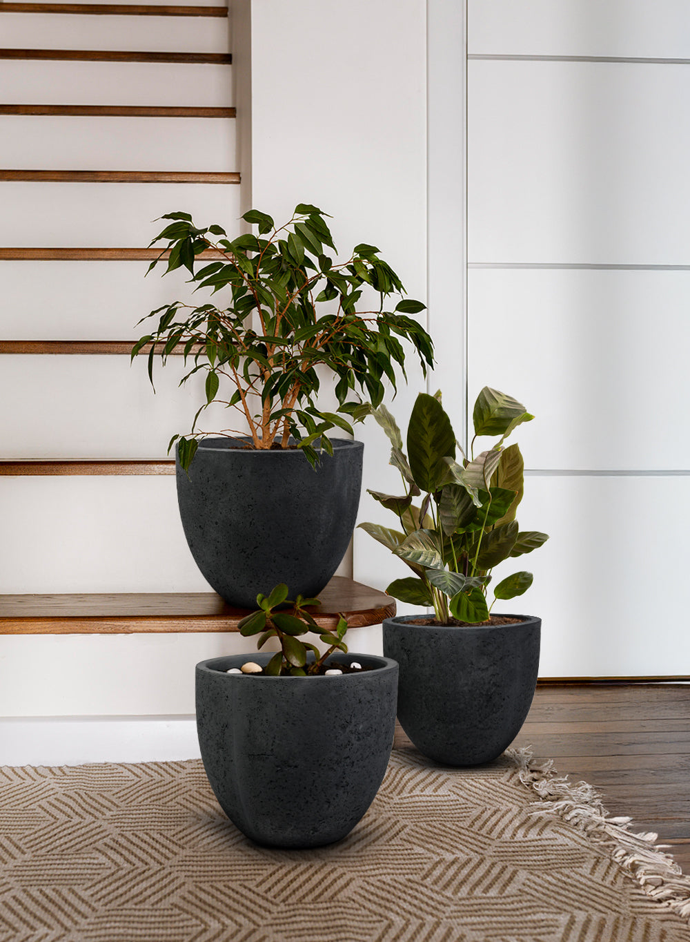 Charcoal Black Cement Planter Pot | Pots | Serene Spaces Living Medium - 12" Diameter & 12" Tall
