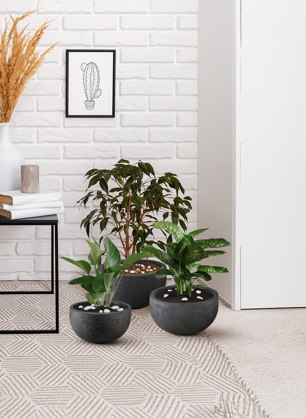 charcoal plant pot Charcoal Black Cement Bowl Planter | Planter