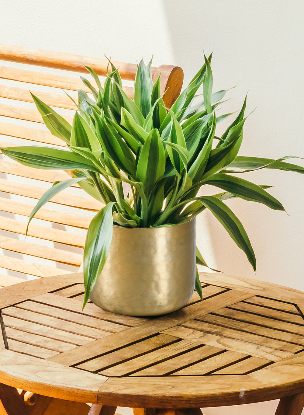 gold indoor plant pot Serene Spaces Living Antique Gold Hammered Pots, Medium, Single
