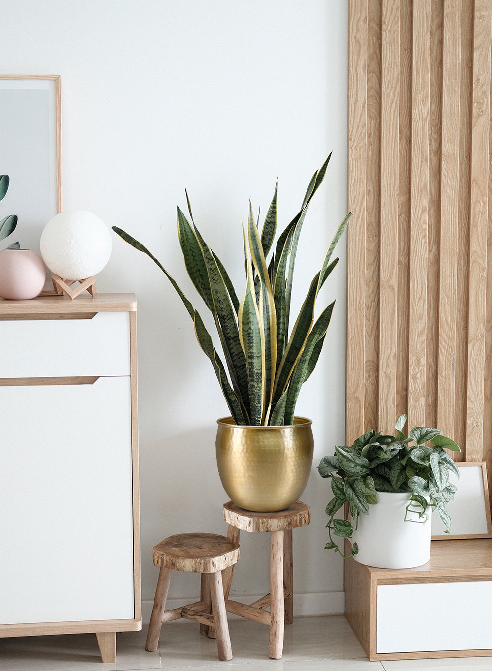 Gold Vintage Aluminum Cachepot Collection
