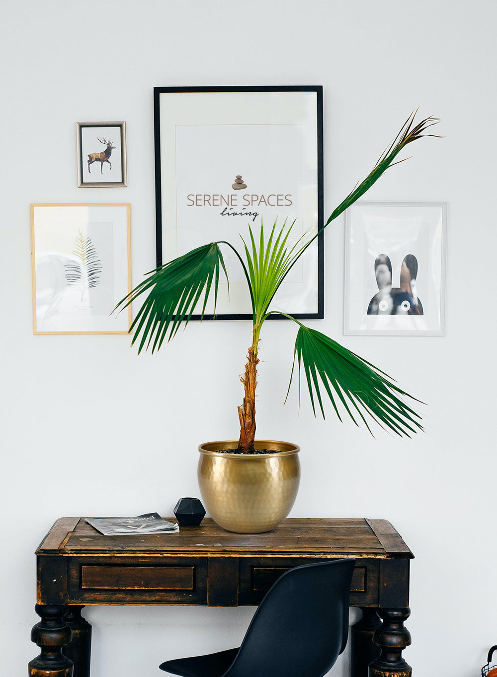 Gold Vintage Aluminum Cachepot Collection