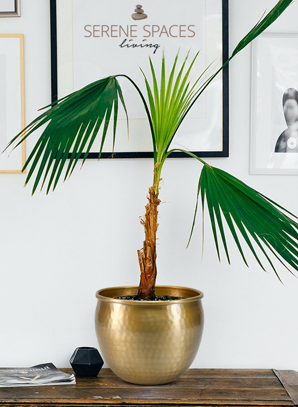 Gold Vintage Aluminum Cachepot Collection