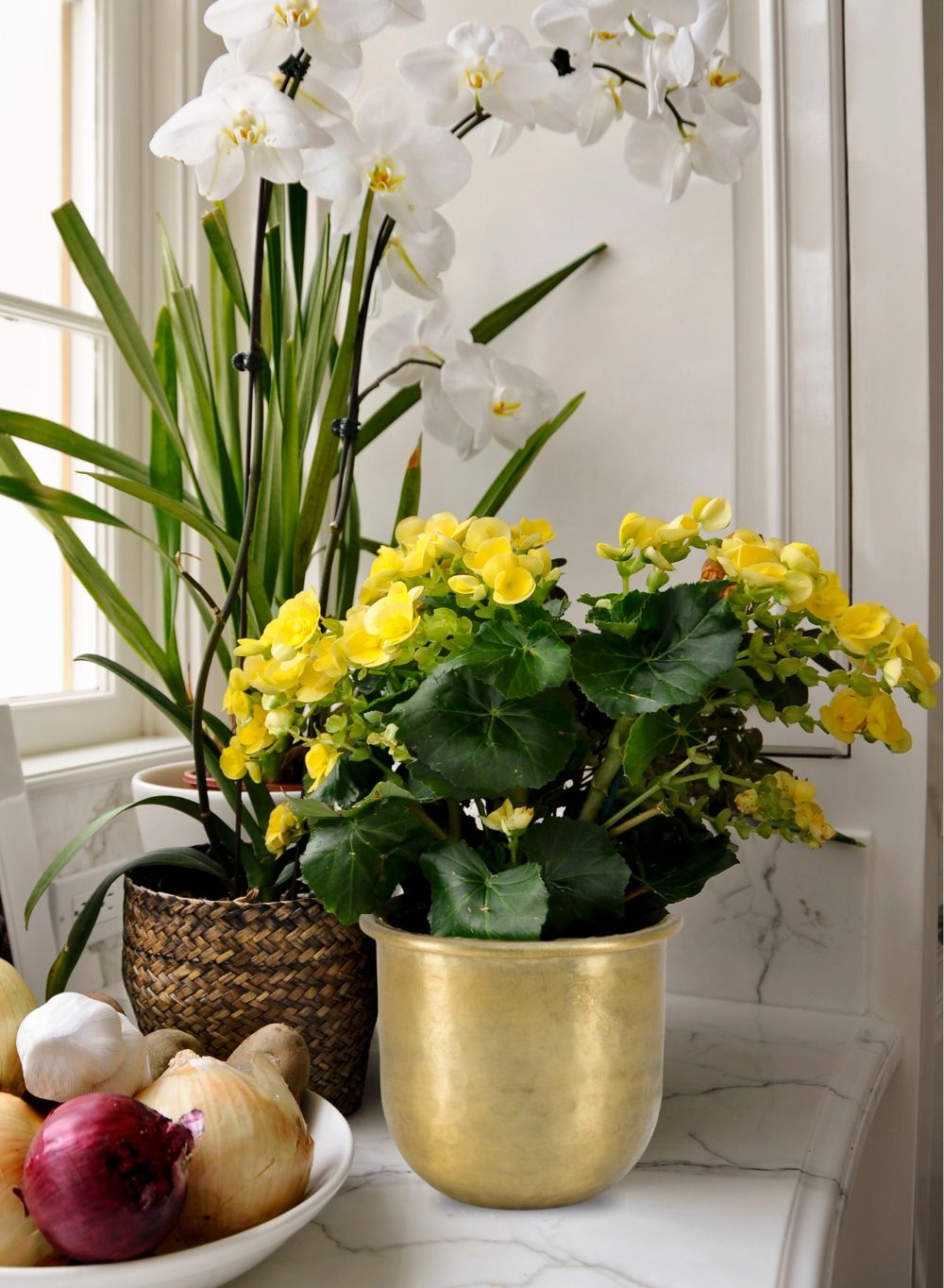 Antiqued Brass Vase-Simple Design with Curved Base Accent Piece,2 Sizes