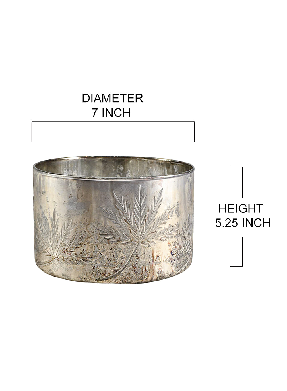 Glass Cylinder Vase, Available in 2 Colors & Sizes