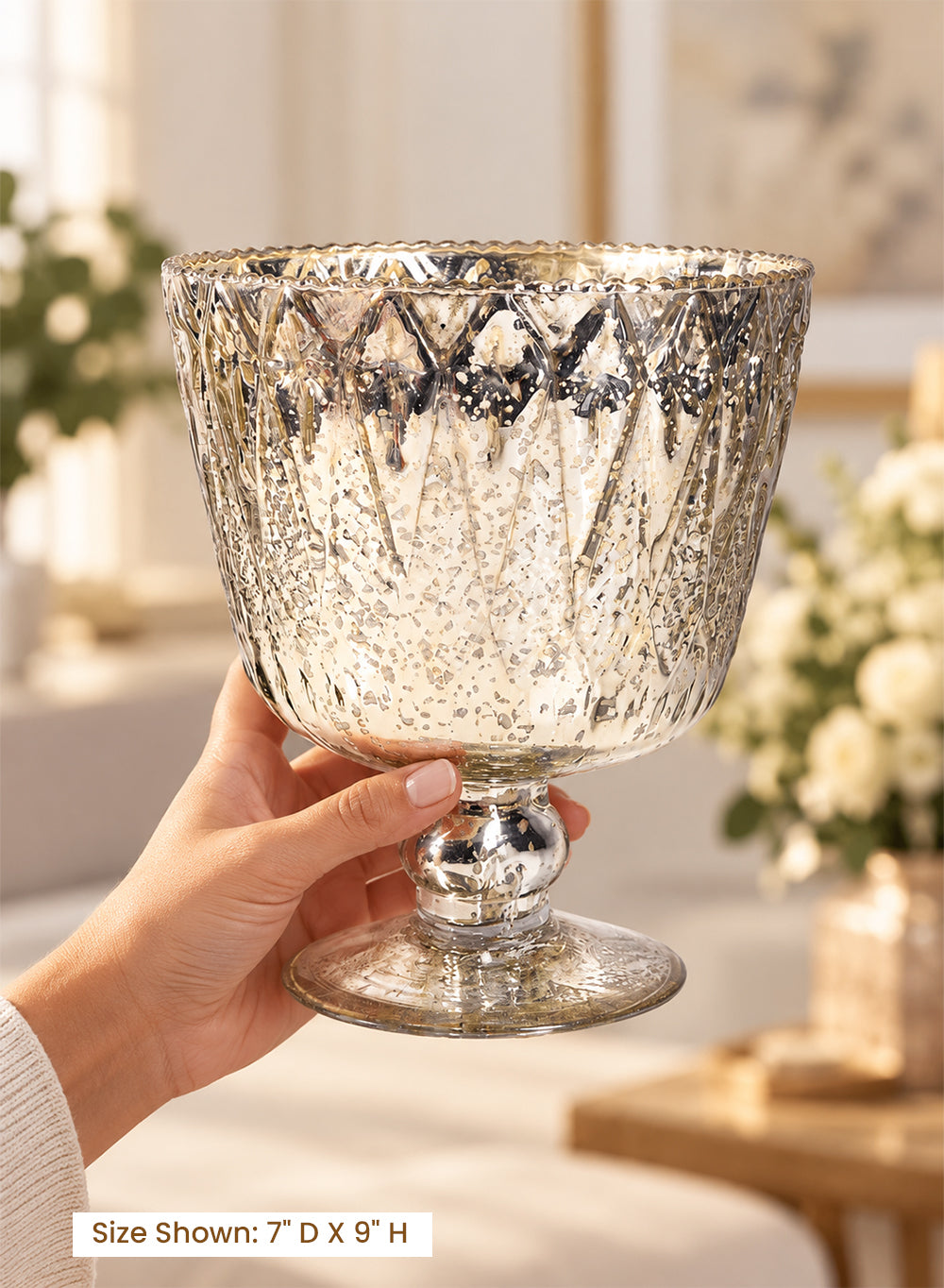 Patterned Silver Glass Coupes Collection