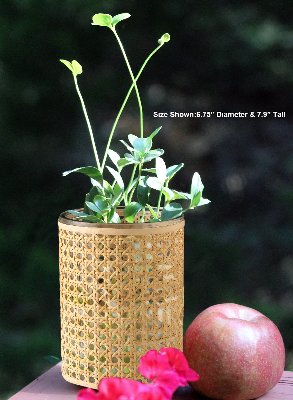 Rattan Cane Wrapped Glass Hurricane, in 6 Sizes