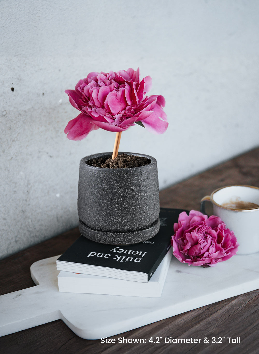 Kuro Textured Black Ceramic Planter with Saucer, 3.2" Diameter & 4.2" Tall