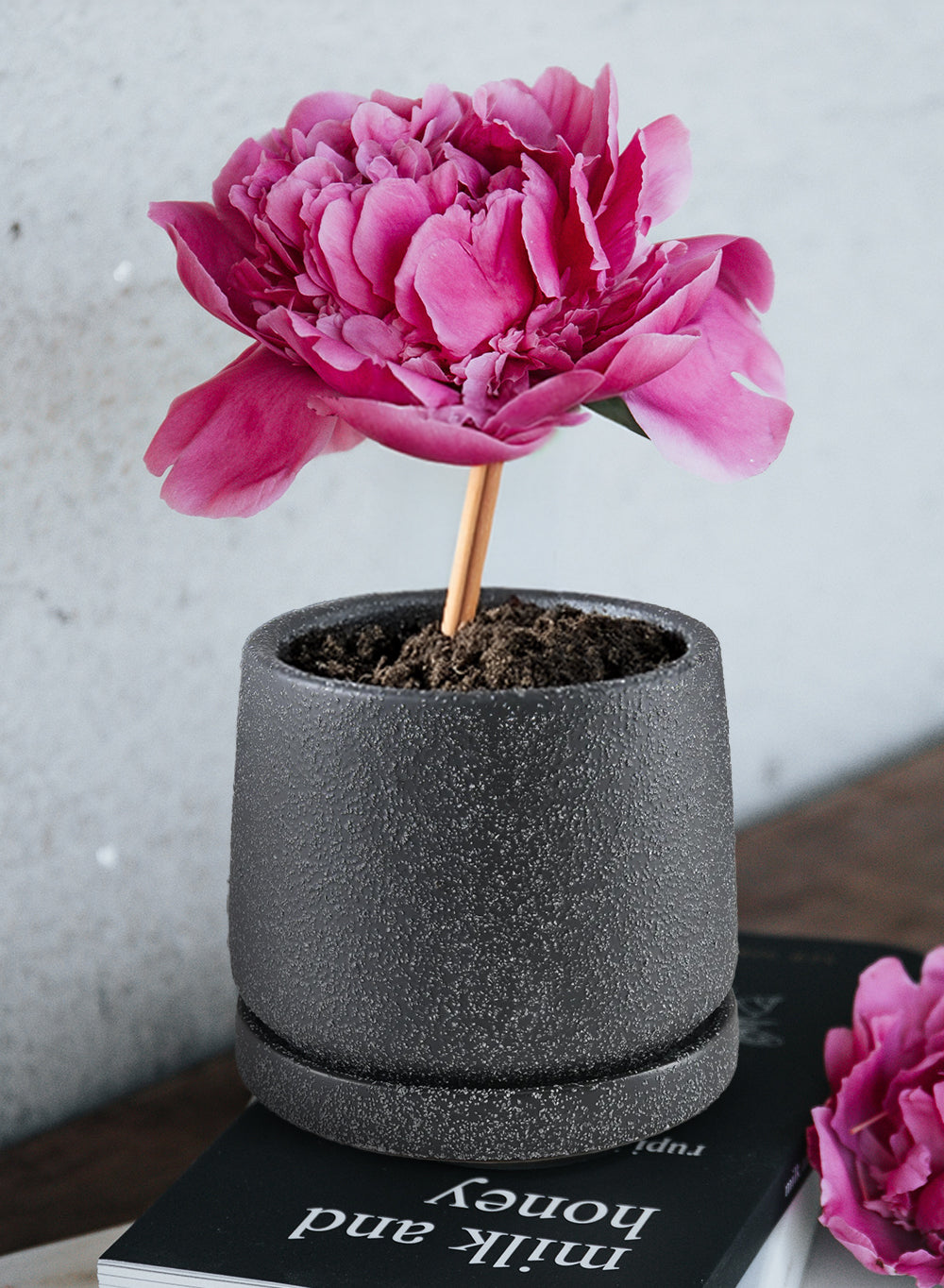 Kuro Textured Black Ceramic Planter with Saucer, 3.2" Diameter & 4.2" Tall