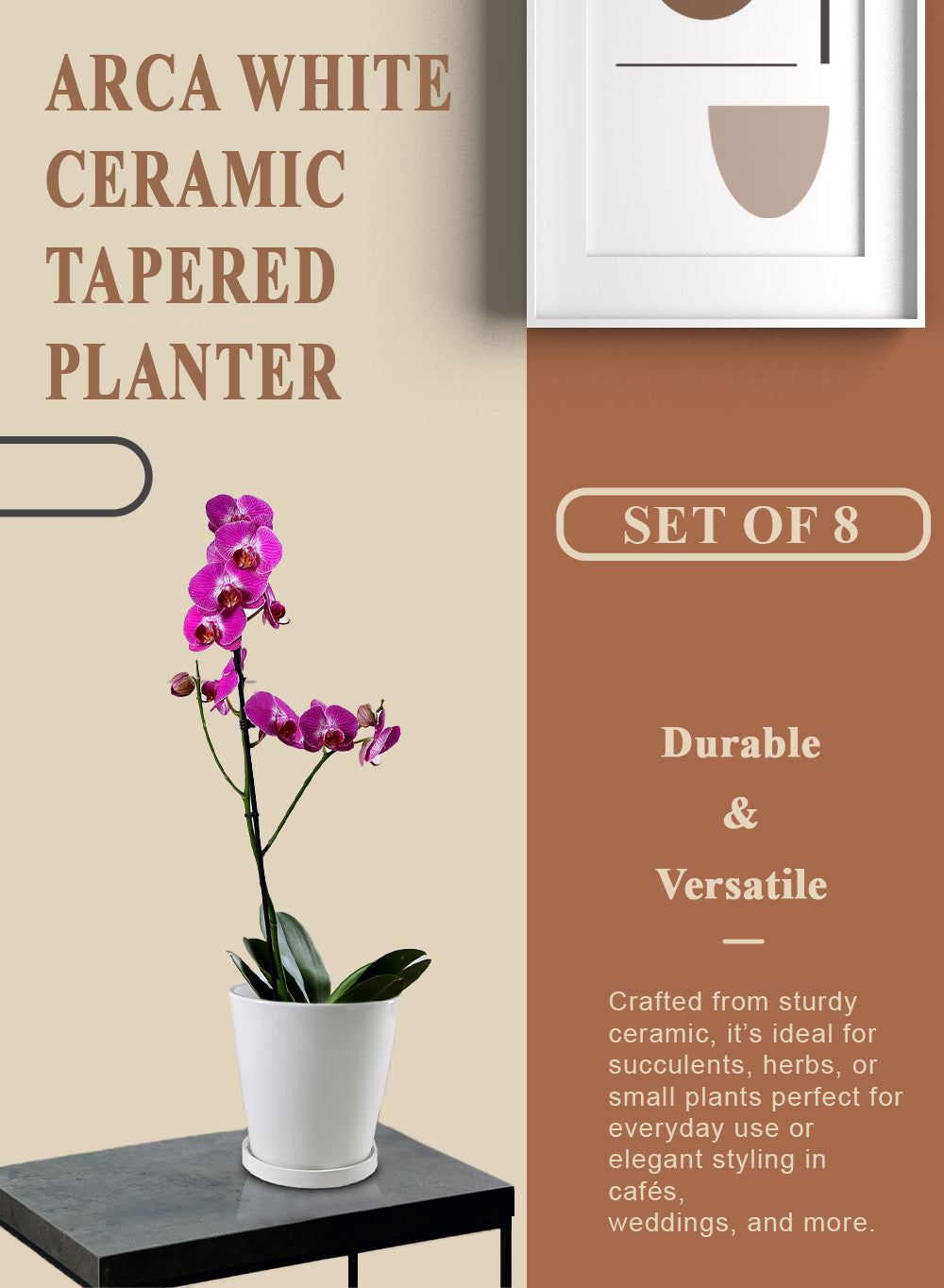 Arca White Ceramic Tapered Planter, 6.5" Diameter & 7" Tall