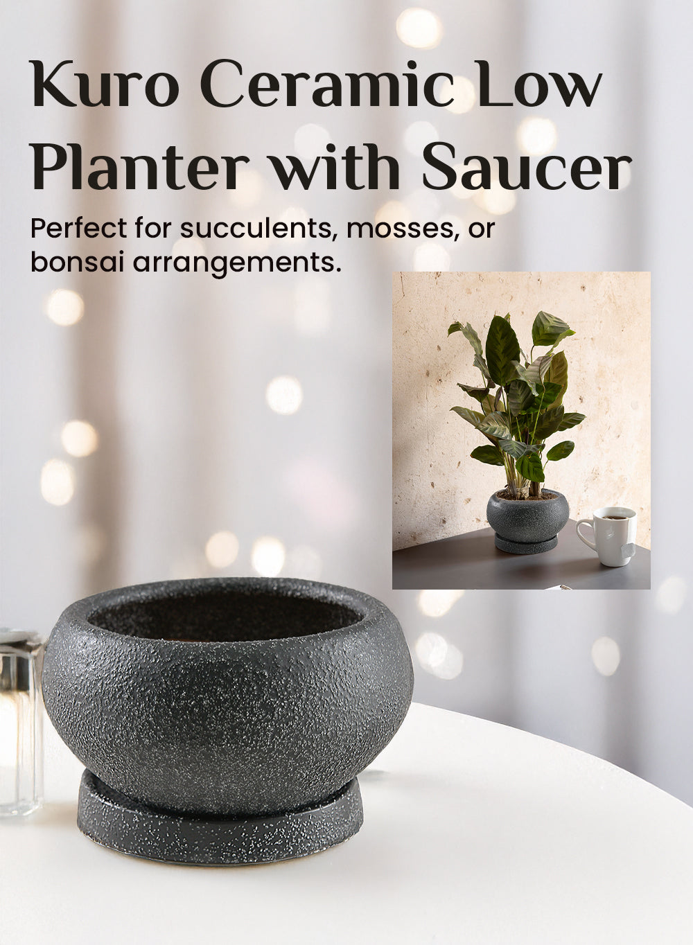 Kuro Ceramic Low Planter with Saucer, 5" Diameter & 2.9" Tall