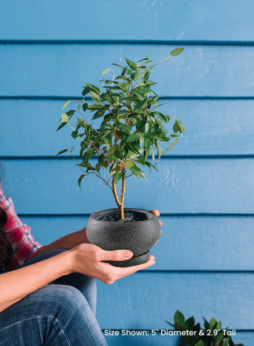 Kuro Ceramic Low Planter with Saucer, 5" Diameter & 2.9" Tall