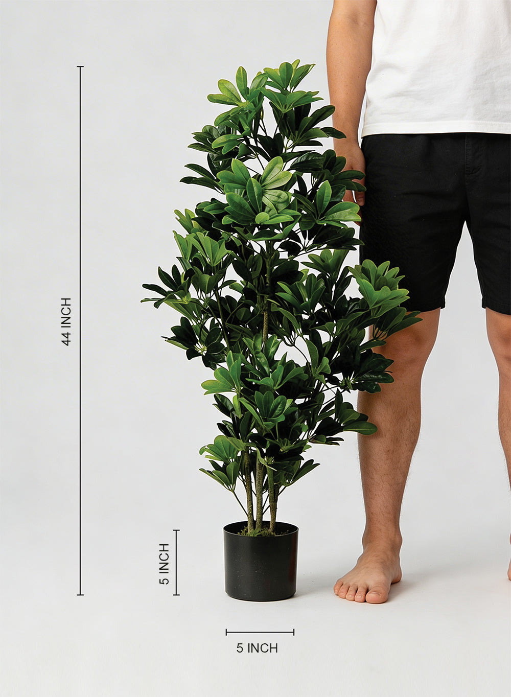 Artificial Indoor Floor Plant in Pot, 18" Diameter & 44" Tall