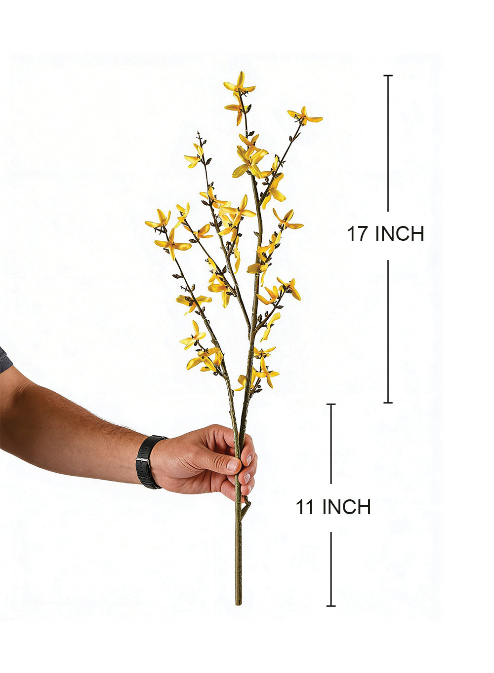 Artificial Yellow Forsythia Stems, 28" Tall, Pack of 12