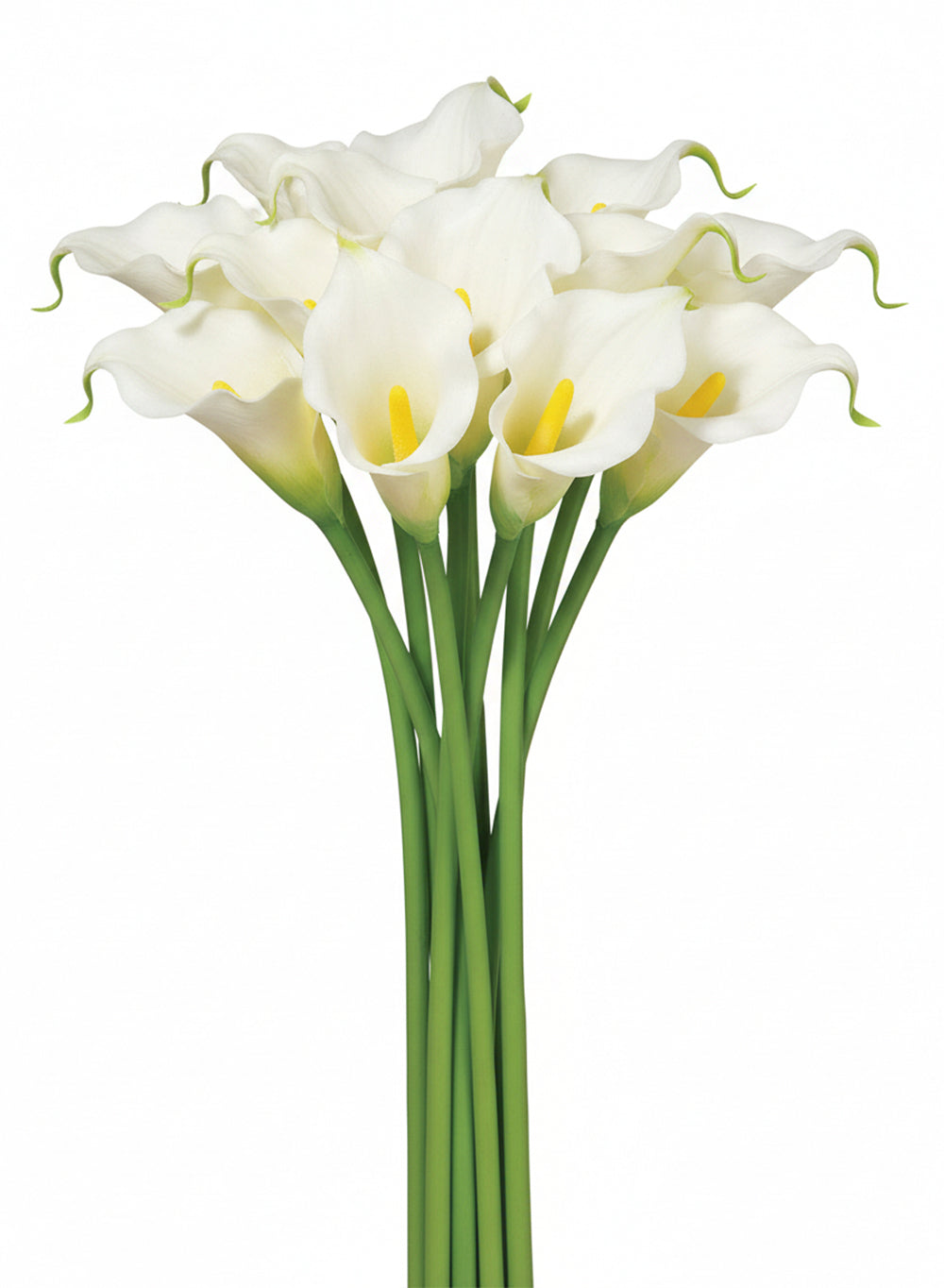 Artificial White Calla Lily Stem, 30" Tall, Pack of 12