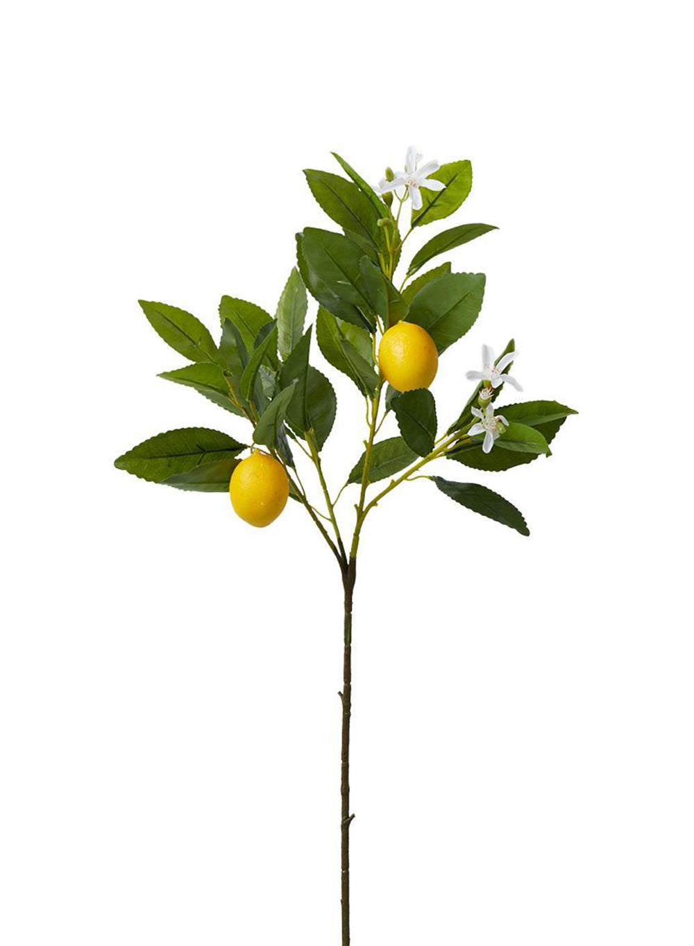 23" Baby Lemon Tree Pick, Pack of 12