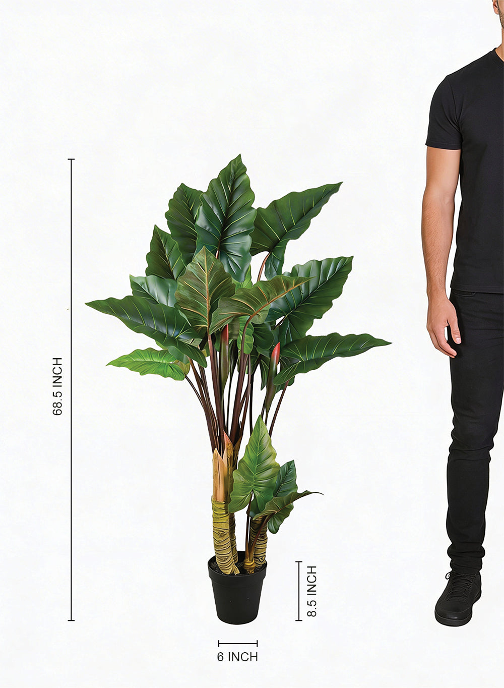 Artificial Elephant Ear Plant in Pot, 9.5" Diameter & 68.5" Tall