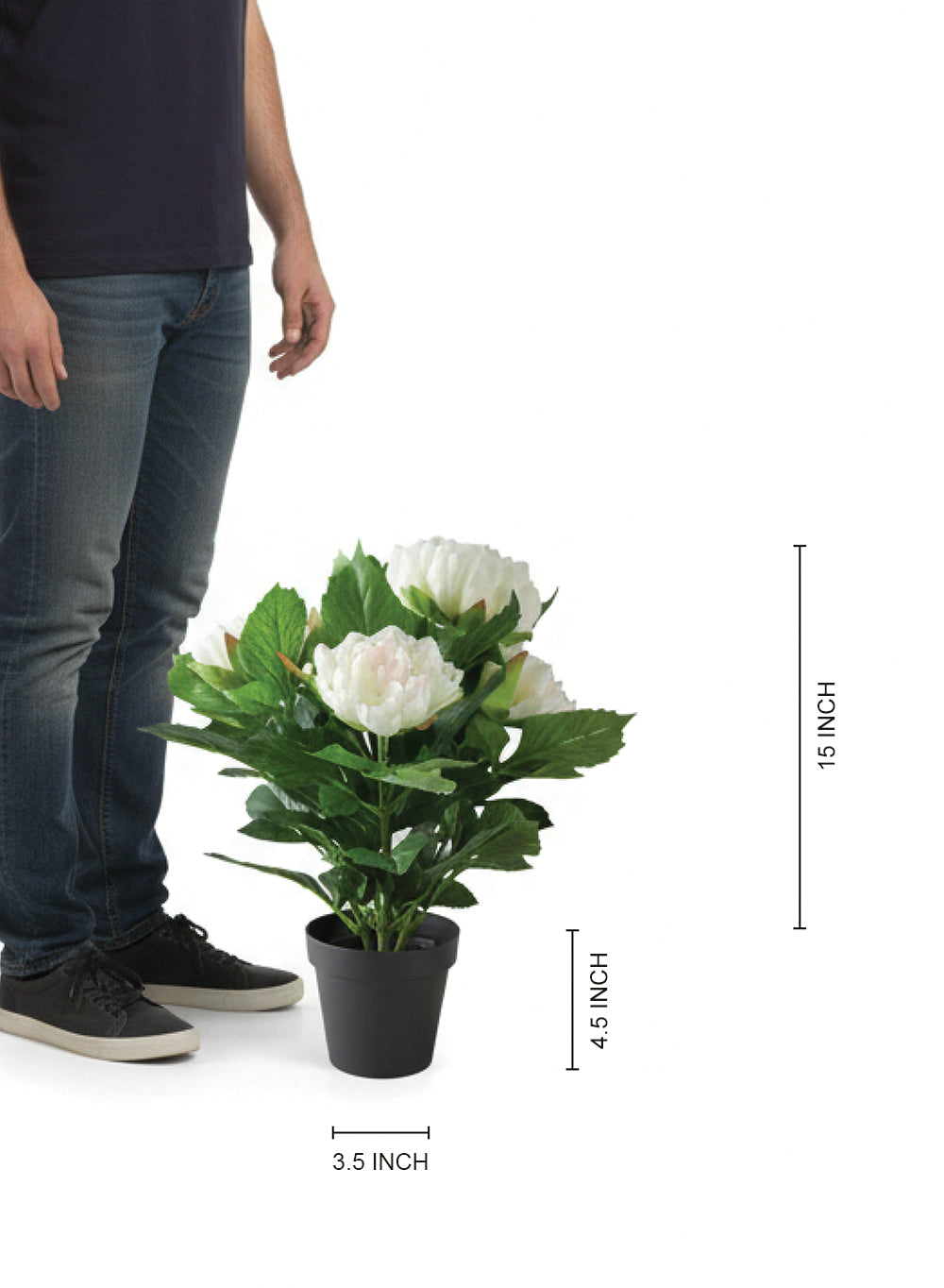 Artificial White Peony Potted Plant, 5" Diameter & 19.5" Tall