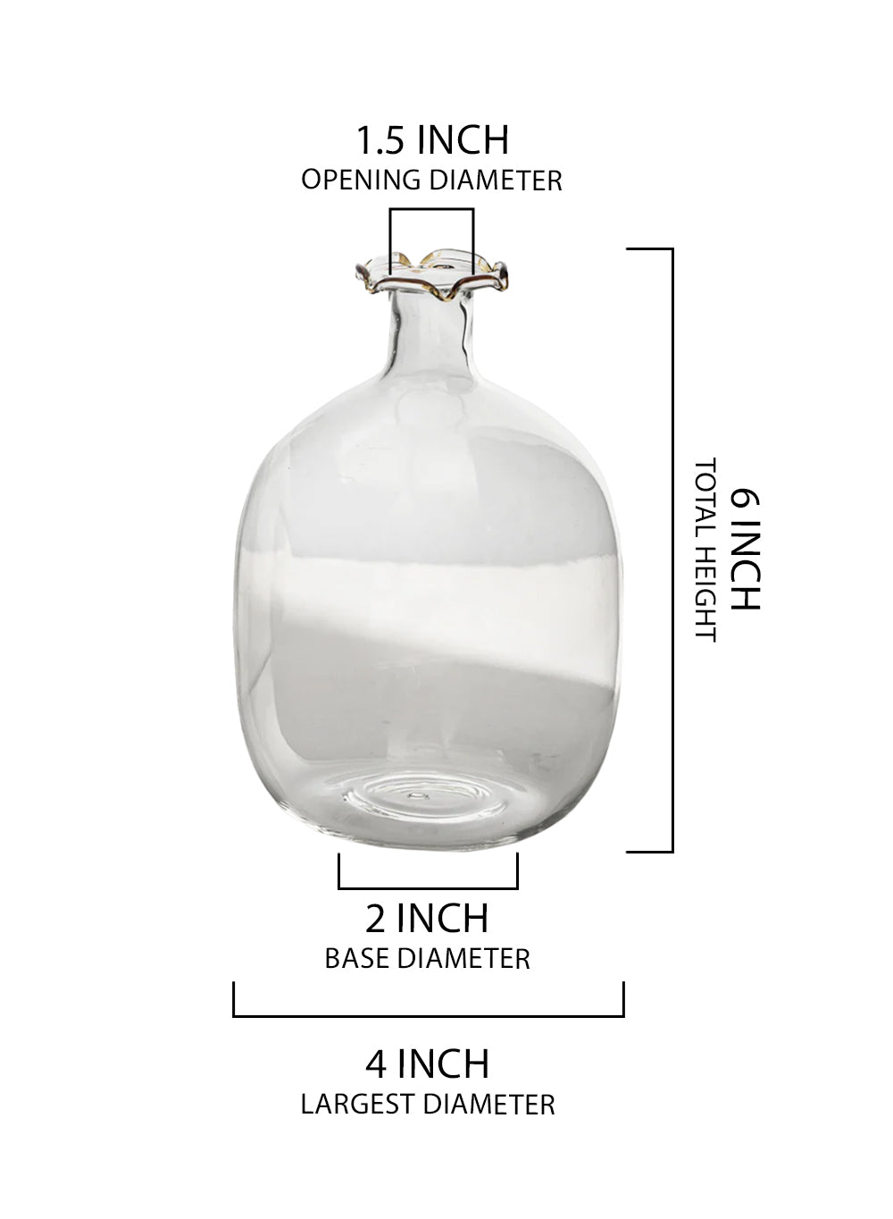 Honeyglow Clear Glass Bottle Bud Vase, 4" Diameter & 6" Tall, Pack of 12