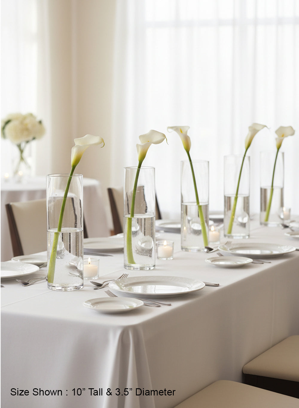 Clear Glass Cylinder Vase Collection