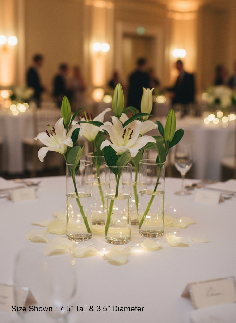 Clear Glass Cylinder Vase Collection