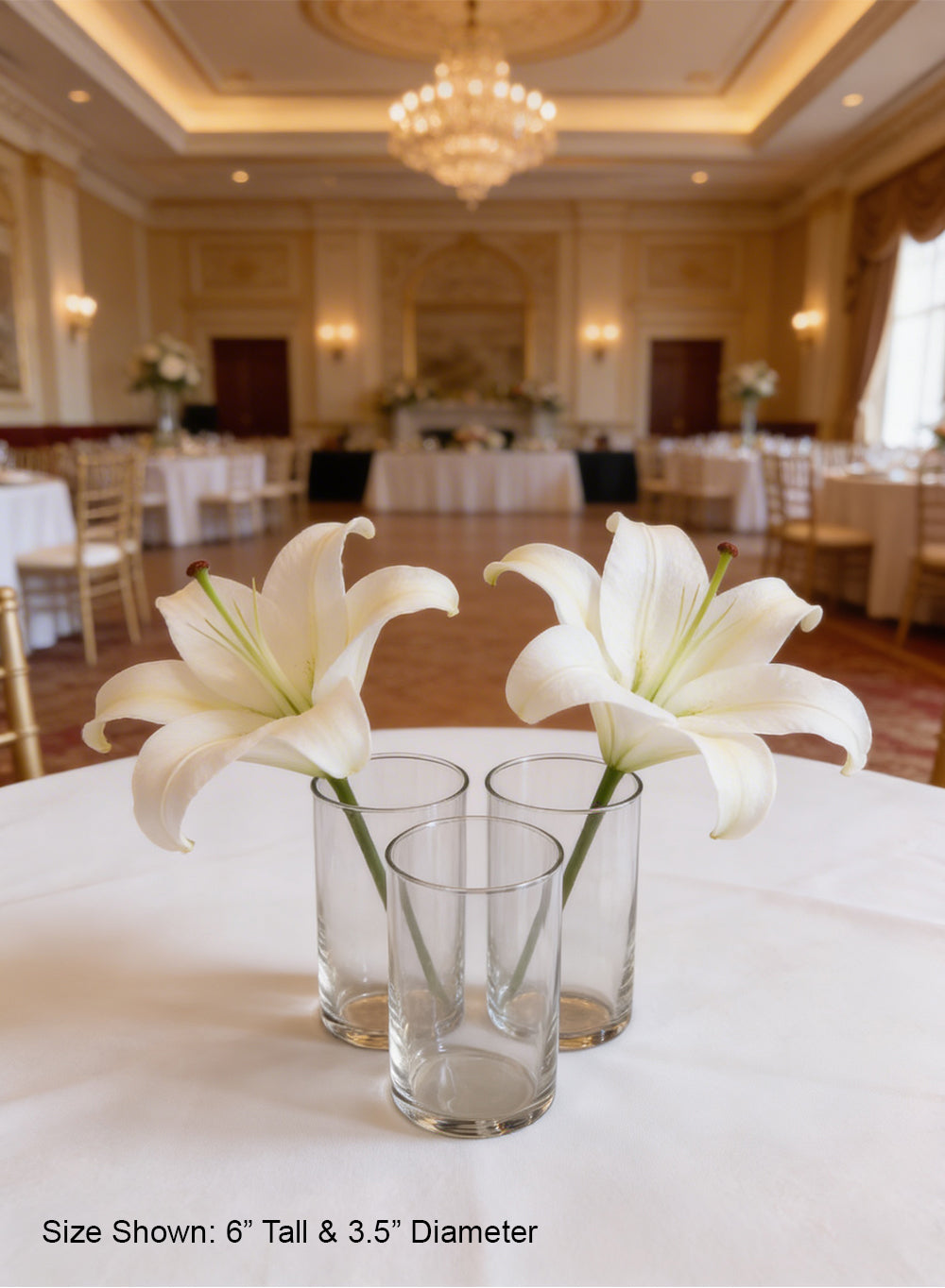 Clear Glass Cylinder Vase Collection