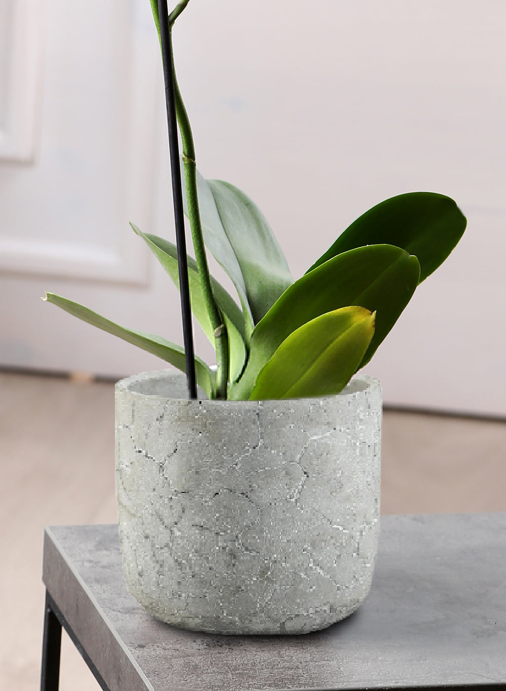 concrete indoor plant pots CrackleStone Rustic Cement Vase | Vases