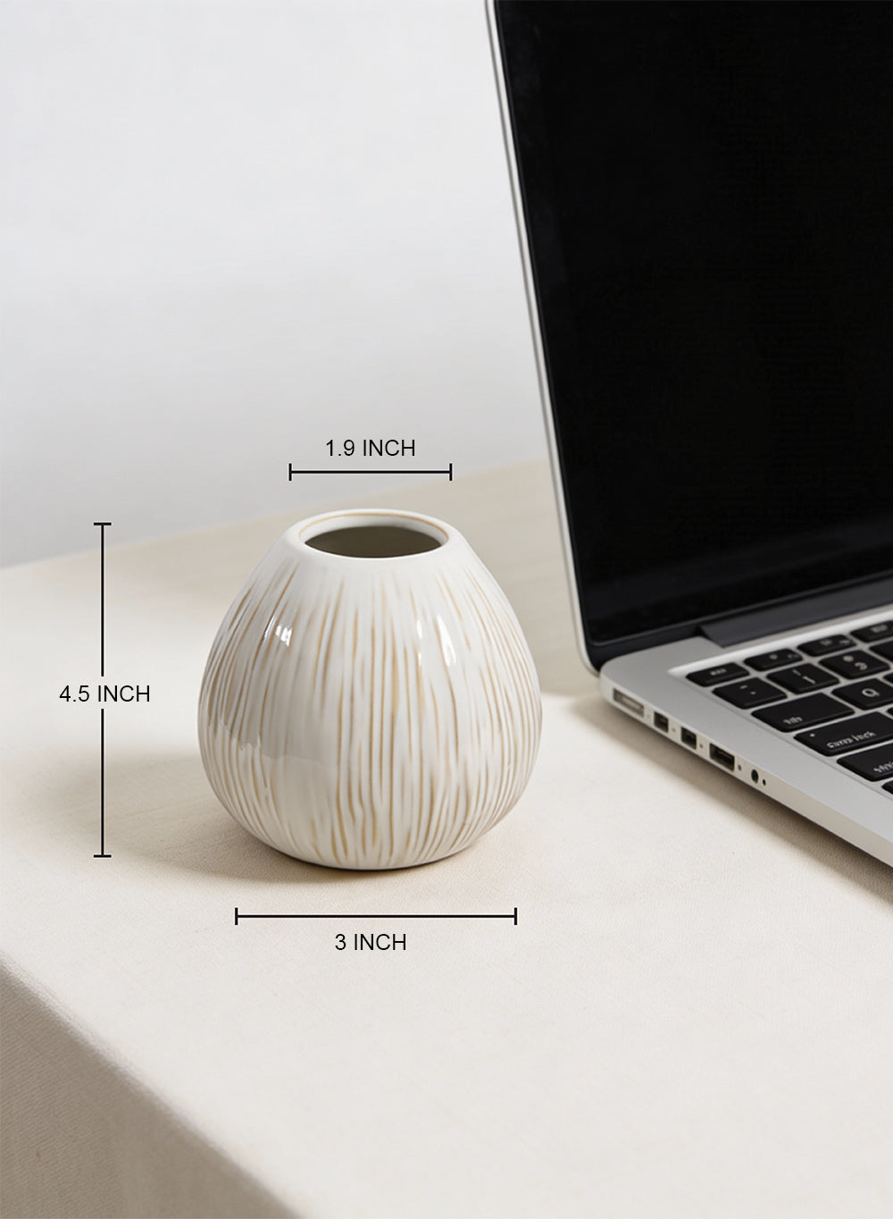 Arlo Ribbed Ceramic Vase Collection