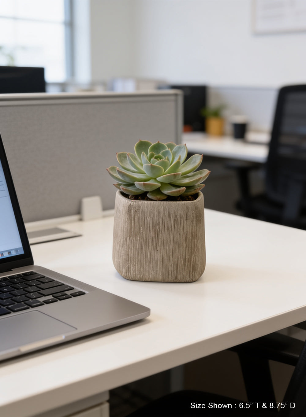 Solis Textured Cement Planter Collection